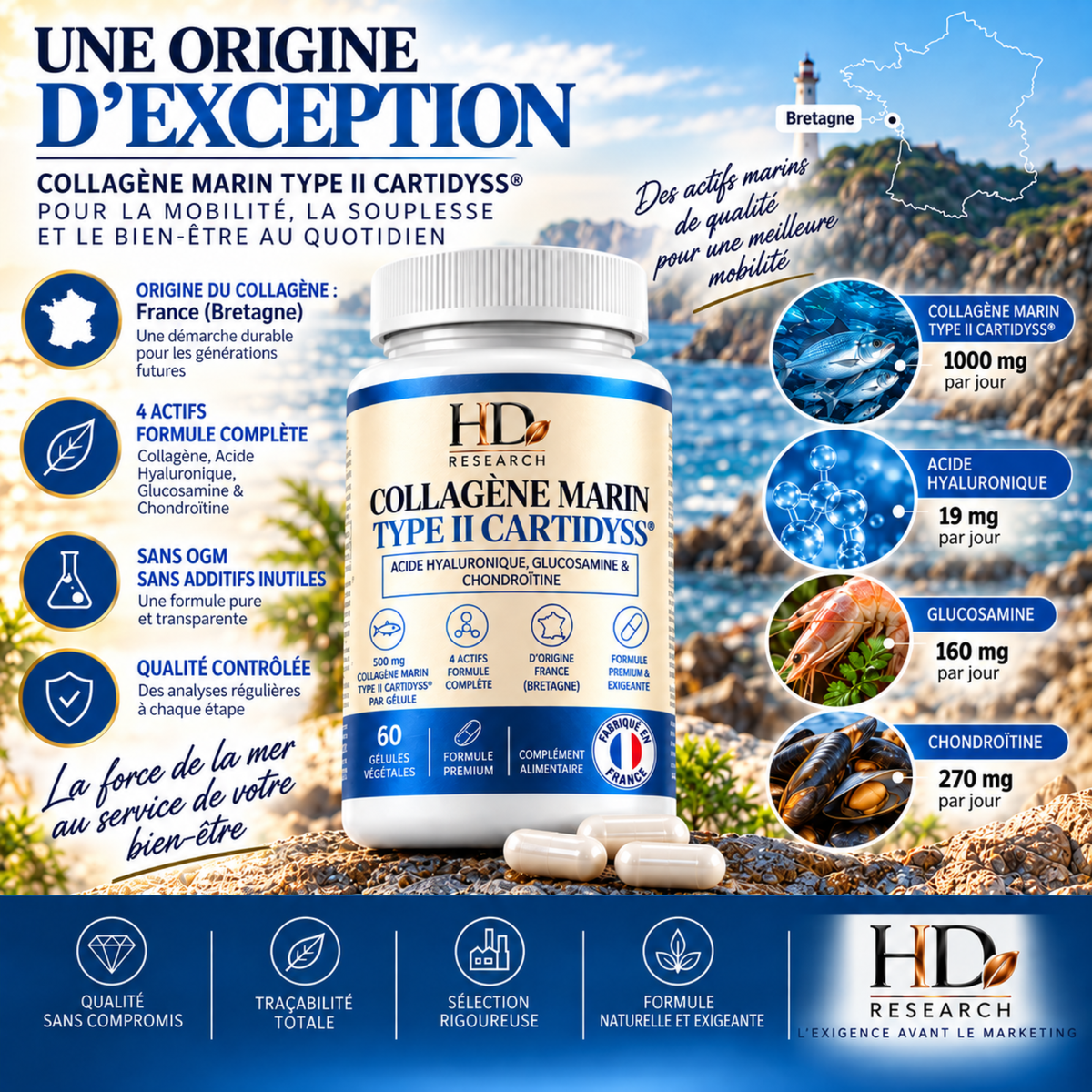 Collagène Marin